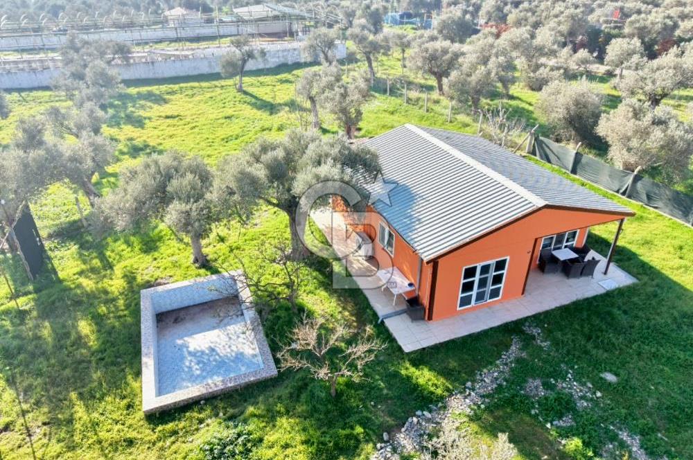 Bayındır Yakapınar'da Satılık Büyükbaş Hayvan Çiftliği