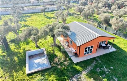 Bayındır Yakapınar'da Satılık Büyükbaş Hayvan Çiftliği