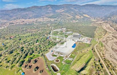 Bayındır Yakapınar'da Satılık Büyükbaş Hayvan Çiftliği