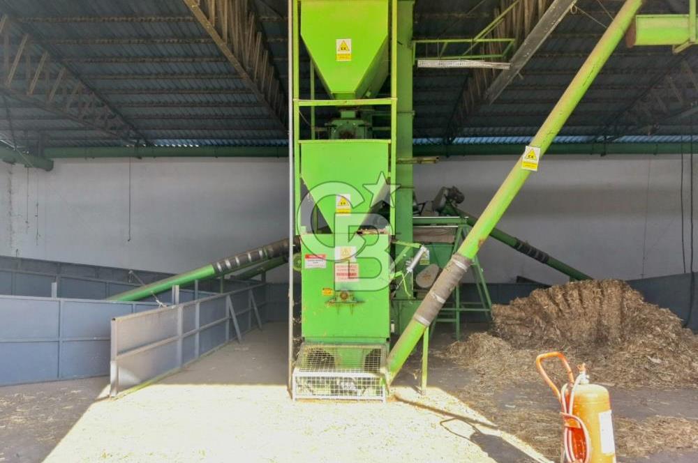 Bayındır Yakapınar'da Satılık Büyükbaş Hayvan Çiftliği