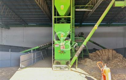 Bayındır Yakapınar'da Satılık Büyükbaş Hayvan Çiftliği