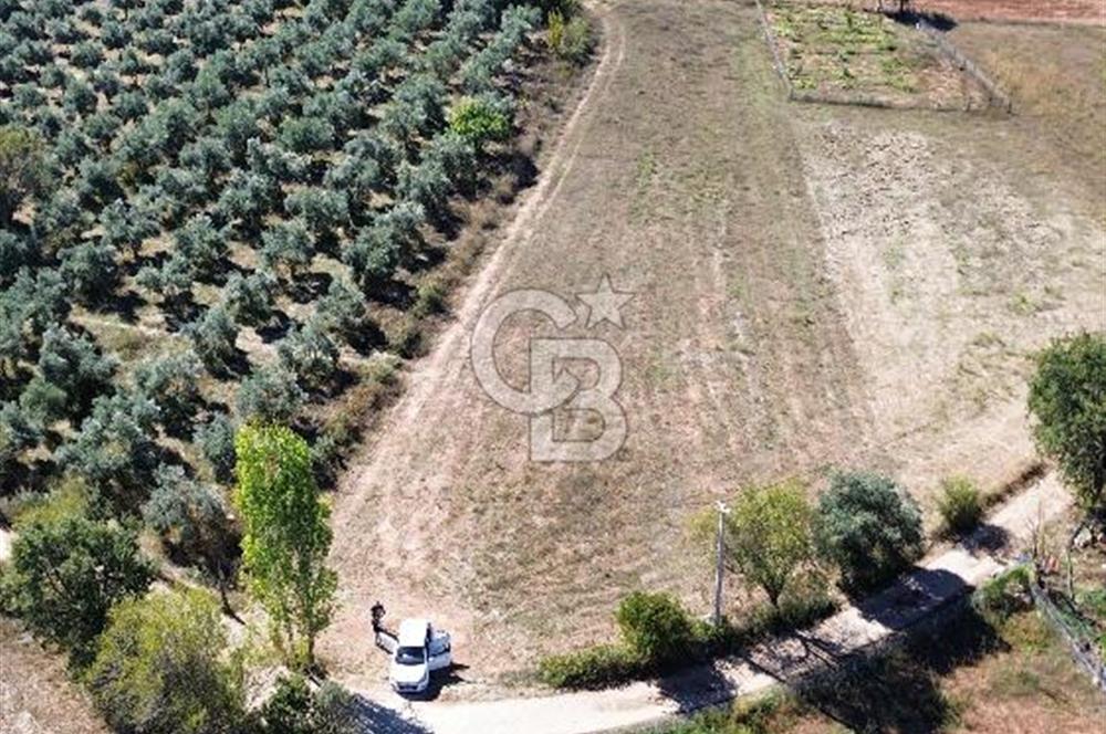 Muğla Menteşe yenice de imar sınırında satılık tarla