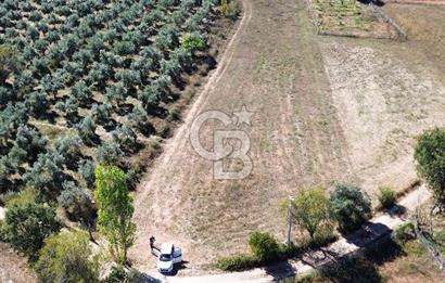 Muğla Menteşe yenice de imar sınırında satılık tarla