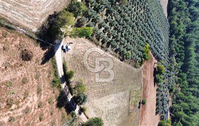 Muğla Menteşe yenice de imar sınırında satılık tarla