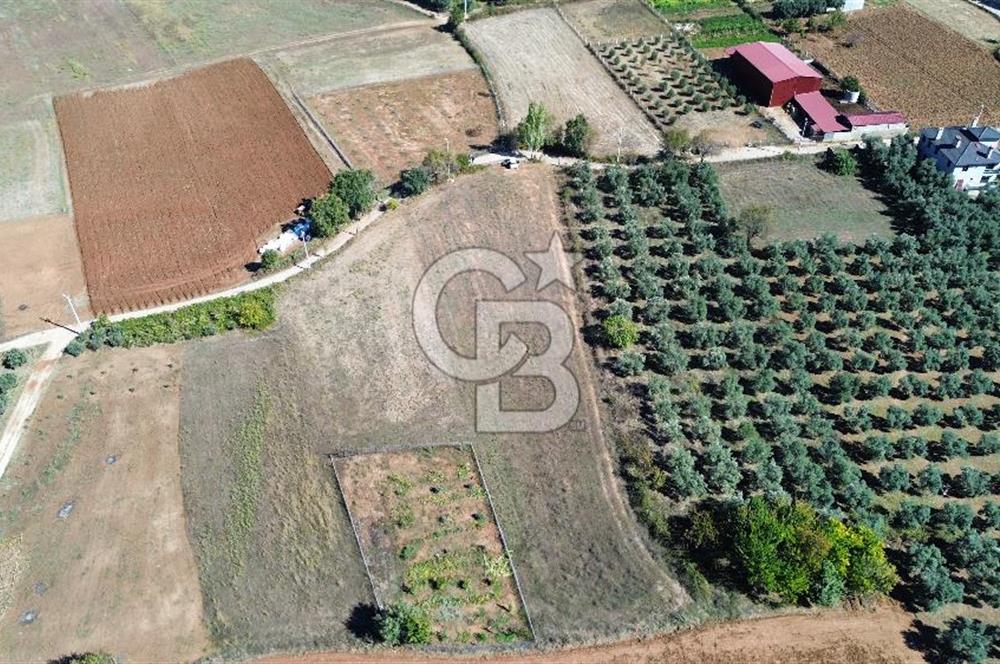 Muğla Menteşe yenice de imar sınırında satılık tarla