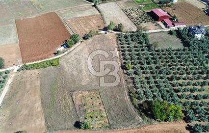 Muğla Menteşe yenice de imar sınırında satılık tarla