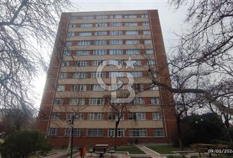 ZÜBEYDE HANIM MAH. TURGUT ÖZAL BUL. KİRALIK 2+1 DAİRE - 1 - 326624