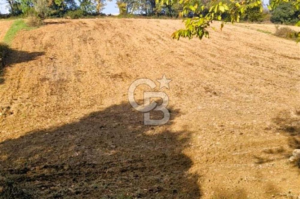 Yeşil Biga’da Resmi Yola Cepheli 3750 m² Gölet Yakınında Yatırımlık Tarla