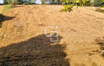 Yeşil Biga’da Resmi Yola Cepheli 3750 m² Gölet Yakınında Yatırımlık Tarla