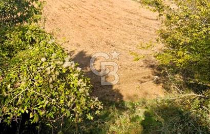 Yeşil Biga’da Resmi Yola Cepheli 3750 m² Gölet Yakınında Yatırımlık Tarla