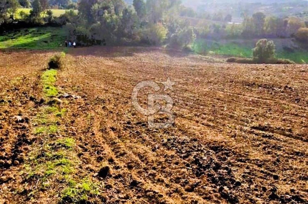 Yeşil Biga’da Resmi Yola Cepheli 3750 m² Gölet Yakınında Yatırımlık Tarla