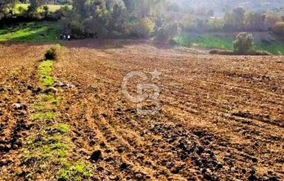 Yeşil Biga’da Resmi Yola Cepheli 3750 m² Gölet Yakınında Yatırımlık Tarla