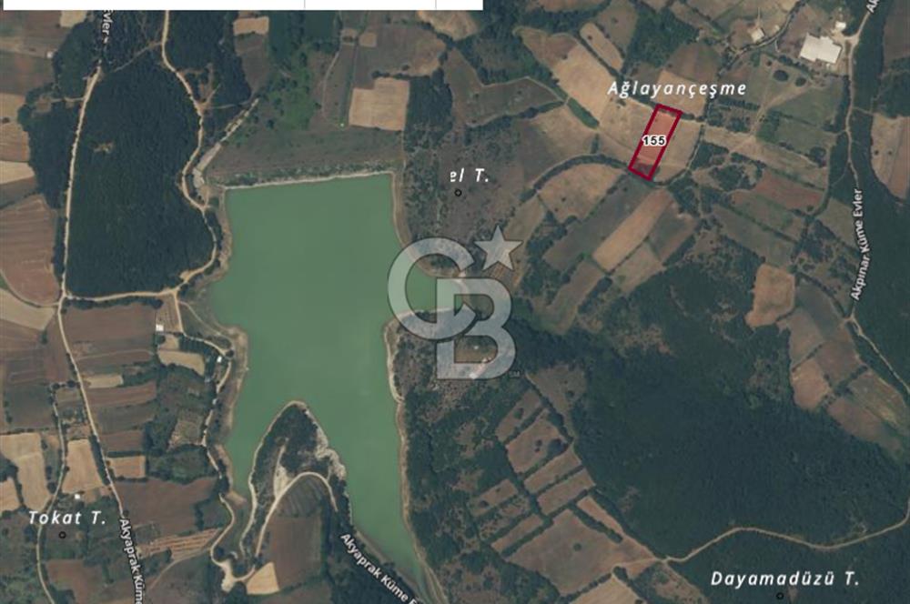 Yeşil Biga’da Resmi Yola Cepheli 3750 m² Gölet Yakınında Yatırımlık Tarla