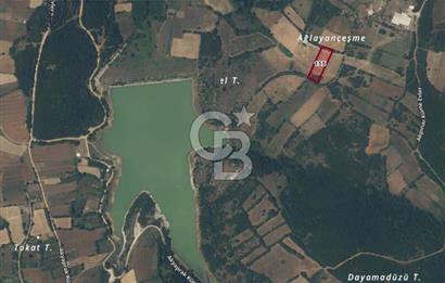 Yeşil Biga’da Resmi Yola Cepheli 3750 m² Gölet Yakınında Yatırımlık Tarla