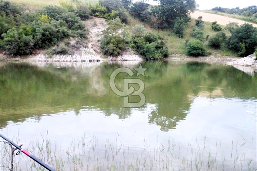 Yeşil Biga’da Resmi Yola Cepheli 3750 m² Gölet Yakınında Yatırımlık Tarla
