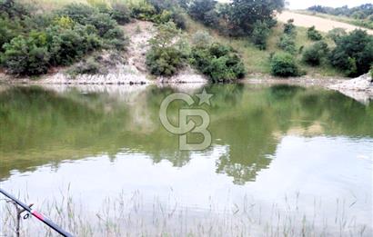 Yeşil Biga’da Resmi Yola Cepheli 3750 m² Gölet Yakınında Yatırımlık Tarla