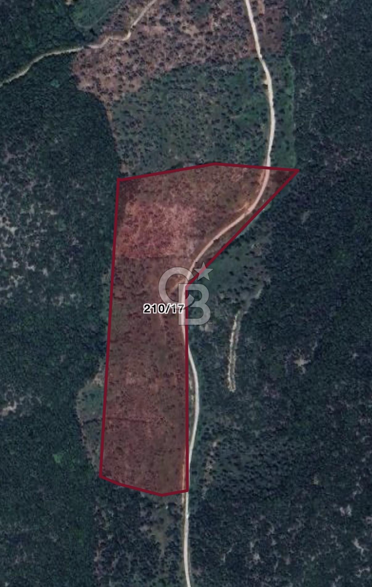 Torbalı Ahmetli de Satılık 12 .275 Dönüm Verimli Zeytinlik