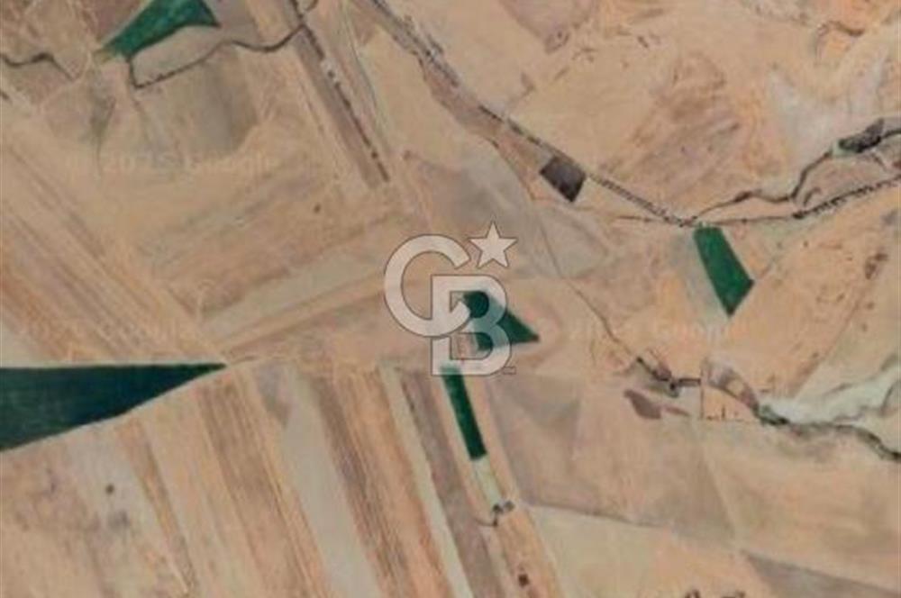 ESKİŞEHİR YOLUNA 3 KM YAPILI HOBİ BAHÇESİ