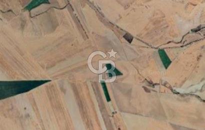 ESKİŞEHİR YOLUNA 3 KM YAPILI HOBİ BAHÇESİ