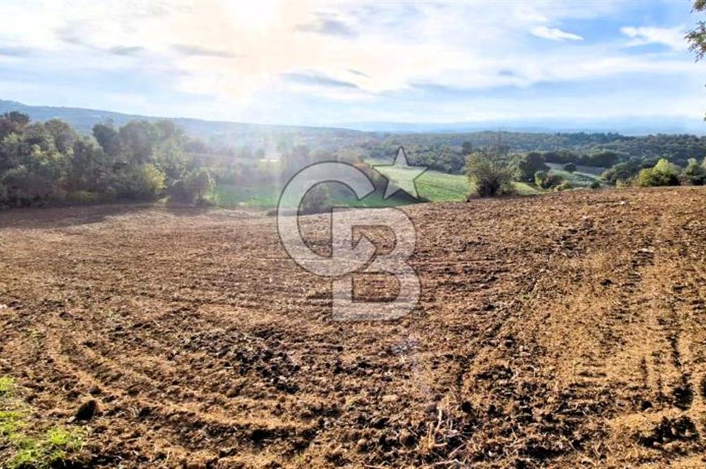 Yeşil Biga’da Resmi Yola Cepheli 3750 m² Gölet Yakınında Yatırımlık Tarla