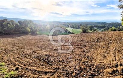 Yeşil Biga’da Resmi Yola Cepheli 3750 m² Gölet Yakınında Yatırımlık Tarla