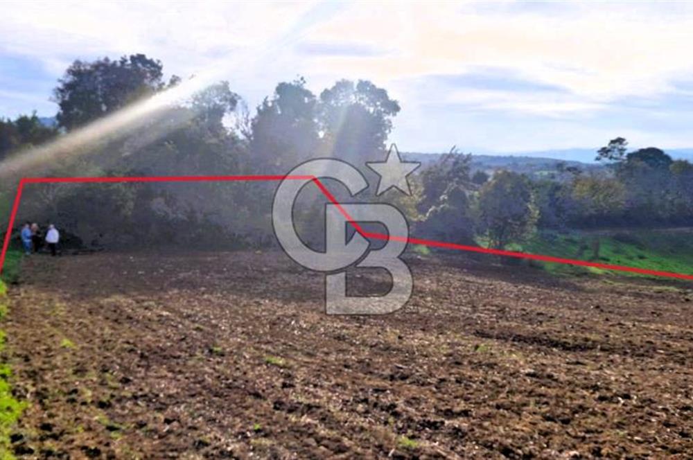 Yeşil Biga’da Resmi Yola Cepheli 3750 m² Gölet Yakınında Yatırımlık Tarla