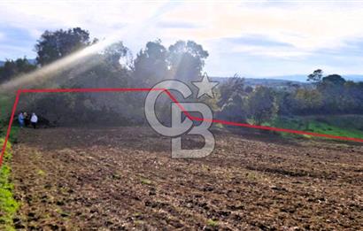 Yeşil Biga’da Resmi Yola Cepheli 3750 m² Gölet Yakınında Yatırımlık Tarla