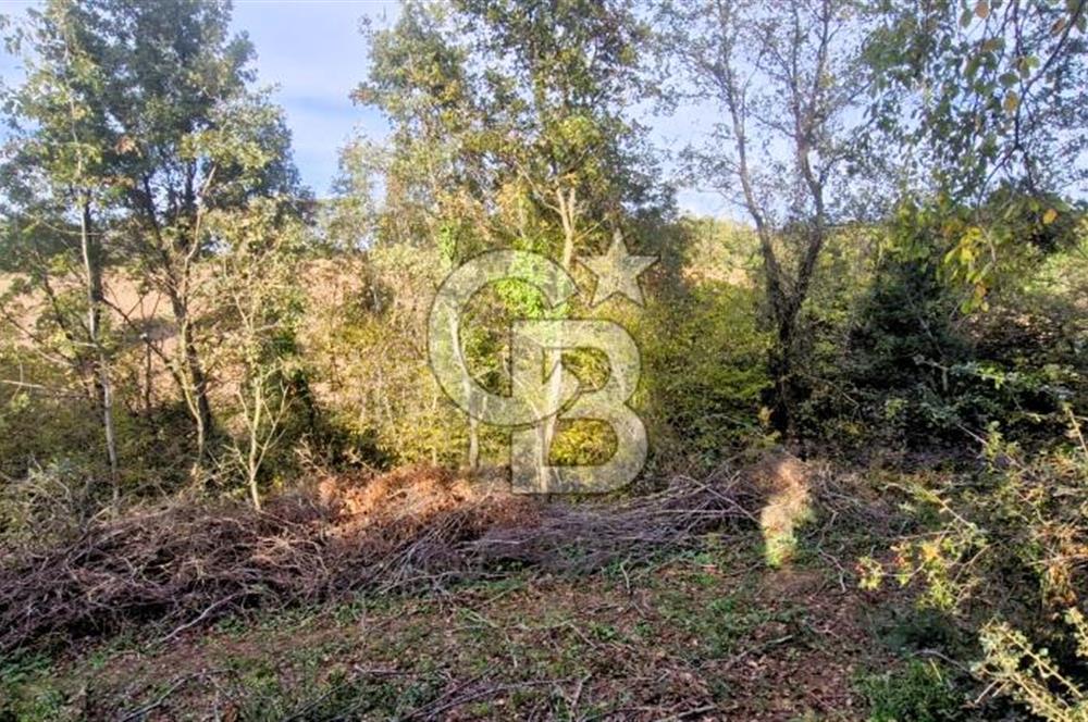 Yeşil Biga’da Resmi Yola Cepheli 3750 m² Gölet Yakınında Yatırımlık Tarla