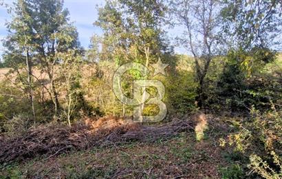 Yeşil Biga’da Resmi Yola Cepheli 3750 m² Gölet Yakınında Yatırımlık Tarla