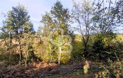 Yeşil Biga’da Resmi Yola Cepheli 3750 m² Gölet Yakınında Yatırımlık Tarla