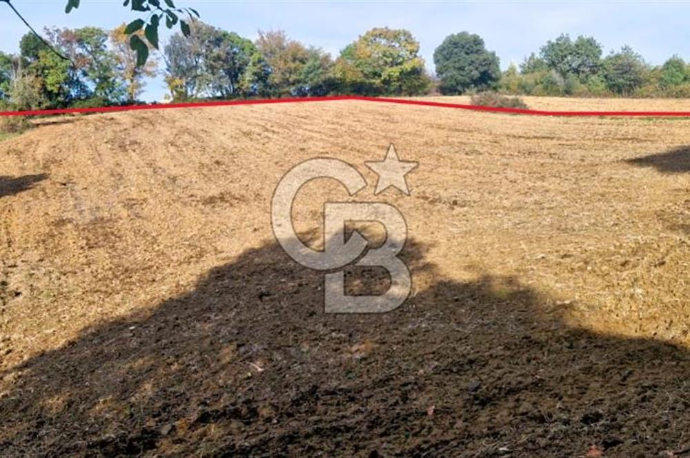 Yeşil Biga’da Resmi Yola Cepheli 3750 m² Gölet Yakınında Yatırımlık Tarla