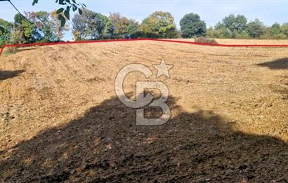 Yeşil Biga’da Resmi Yola Cepheli 3750 m² Gölet Yakınında Yatırımlık Tarla