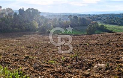 Yeşil Biga’da Resmi Yola Cepheli 3750 m² Gölet Yakınında Yatırımlık Tarla