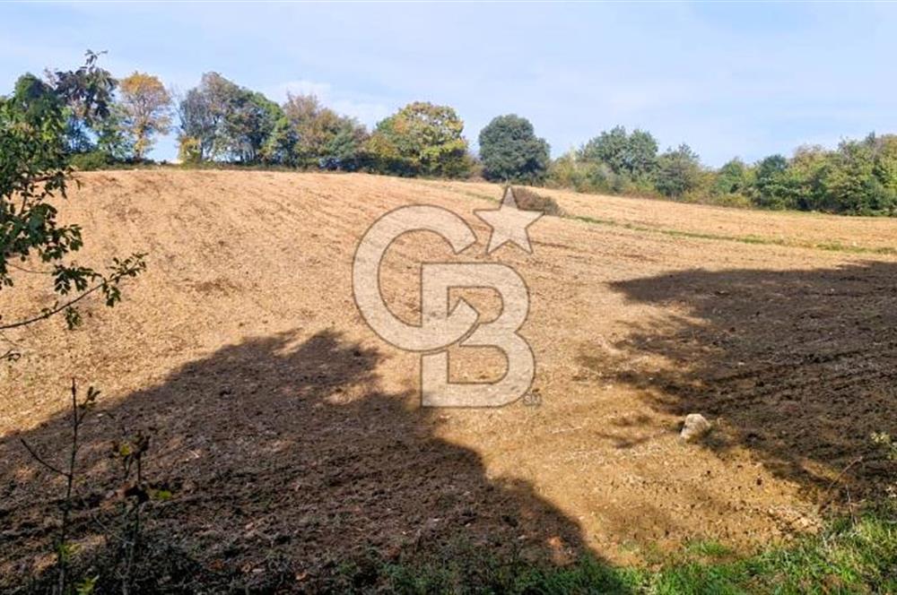 Yeşil Biga’da Resmi Yola Cepheli 3750 m² Gölet Yakınında Yatırımlık Tarla