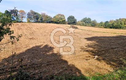 Yeşil Biga’da Resmi Yola Cepheli 3750 m² Gölet Yakınında Yatırımlık Tarla