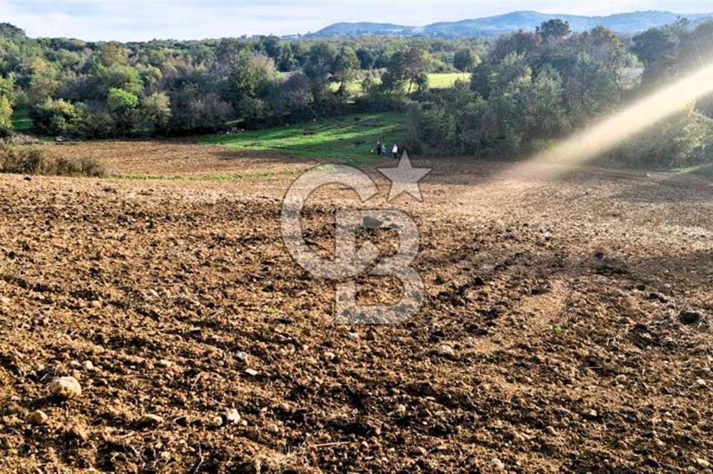 Yeşil Biga’da Resmi Yola Cepheli 3750 m² Gölet Yakınında Yatırımlık Tarla