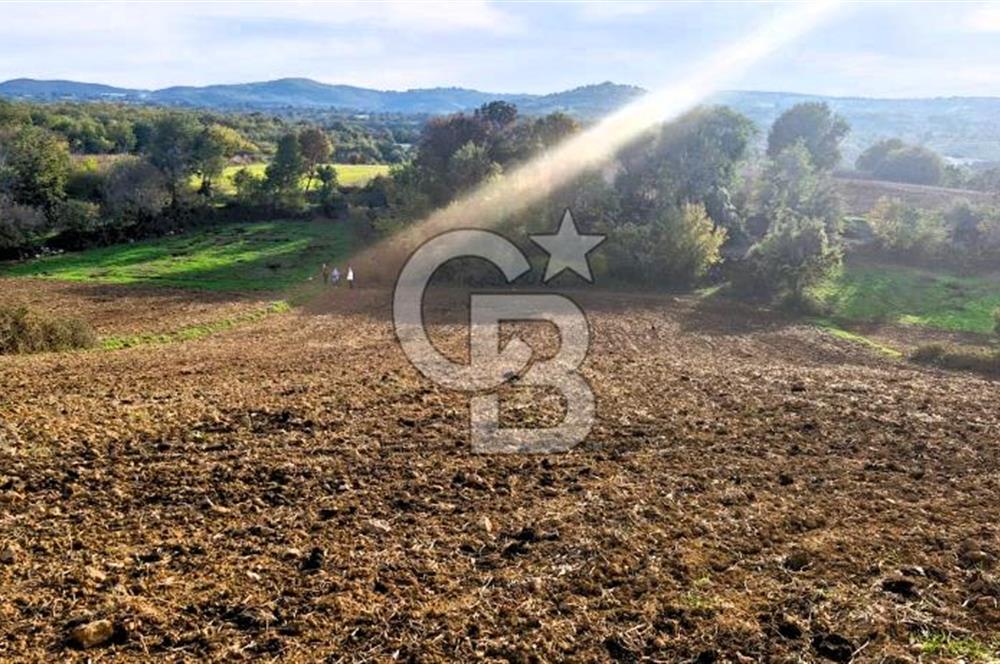 Yeşil Biga’da Resmi Yola Cepheli 3750 m² Gölet Yakınında Yatırımlık Tarla