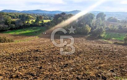 Yeşil Biga’da Resmi Yola Cepheli 3750 m² Gölet Yakınında Yatırımlık Tarla