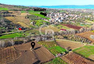 Çanakkale Merkez Musaköy’de Asfalt Yola Cepheli, Merkeze Yakın 1.350 m² Satılık Tarla - 1 - 326632