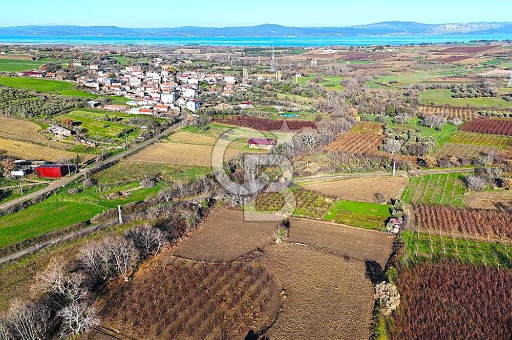 Çanakkale Merkez Musaköy’de Asfalt Yola Cepheli, Merkeze Yakın 1.350 m² Satılık Tarla