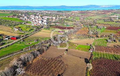 Çanakkale Merkez Musaköy’de Asfalt Yola Cepheli, Merkeze Yakın 1.350 m² Satılık Tarla