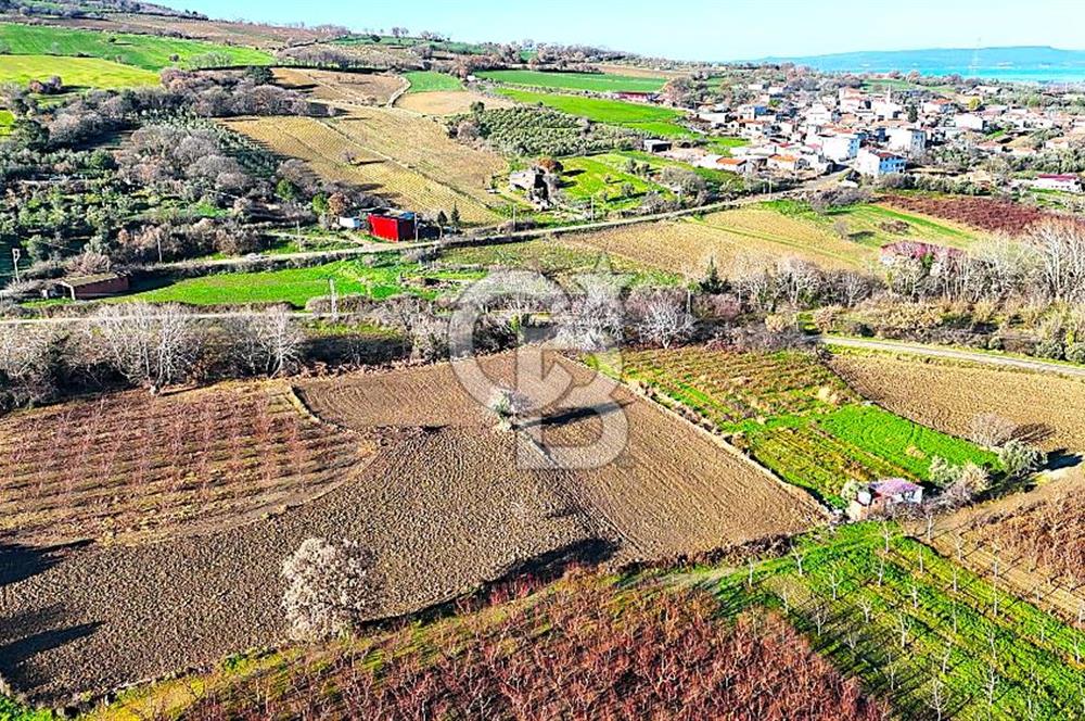 Çanakkale Merkez Musaköy’de Asfalt Yola Cepheli, Merkeze Yakın 1.350 m² Satılık Tarla
