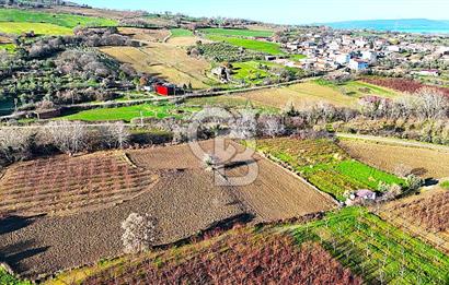 Çanakkale Merkez Musaköy’de Asfalt Yola Cepheli, Merkeze Yakın 1.350 m² Satılık Tarla