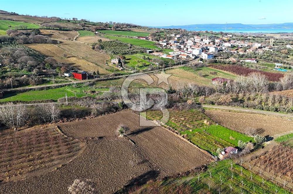 Çanakkale Merkez Musaköy’de Asfalt Yola Cepheli, Merkeze Yakın 1.350 m² Satılık Tarla