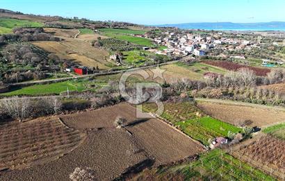 Çanakkale Merkez Musaköy’de Asfalt Yola Cepheli, Merkeze Yakın 1.350 m² Satılık Tarla