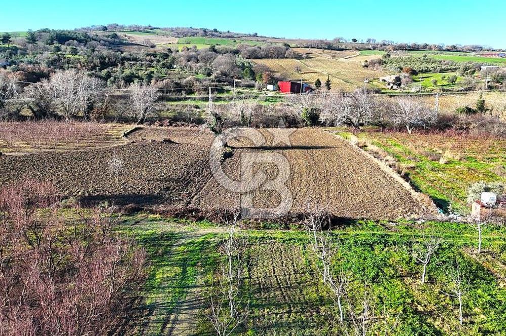 Çanakkale Merkez Musaköy’de Asfalt Yola Cepheli, Merkeze Yakın 1.350 m² Satılık Tarla
