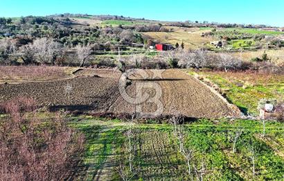 Çanakkale Merkez Musaköy’de Asfalt Yola Cepheli, Merkeze Yakın 1.350 m² Satılık Tarla