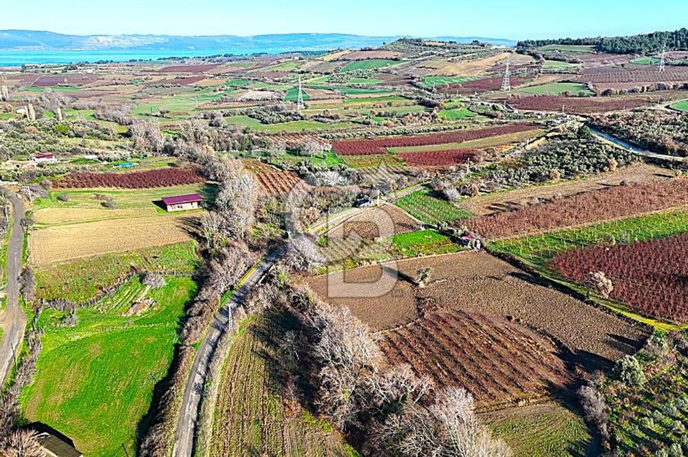Çanakkale Merkez Musaköy’de Asfalt Yola Cepheli, Merkeze Yakın 1.350 m² Satılık Tarla