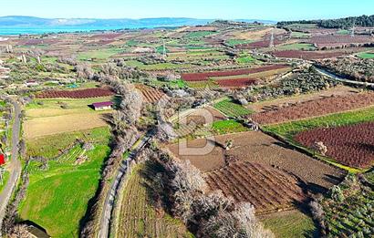 Çanakkale Merkez Musaköy’de Asfalt Yola Cepheli, Merkeze Yakın 1.350 m² Satılık Tarla