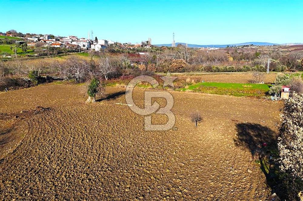 Çanakkale Merkez Musaköy’de Asfalt Yola Cepheli, Merkeze Yakın 1.350 m² Satılık Tarla